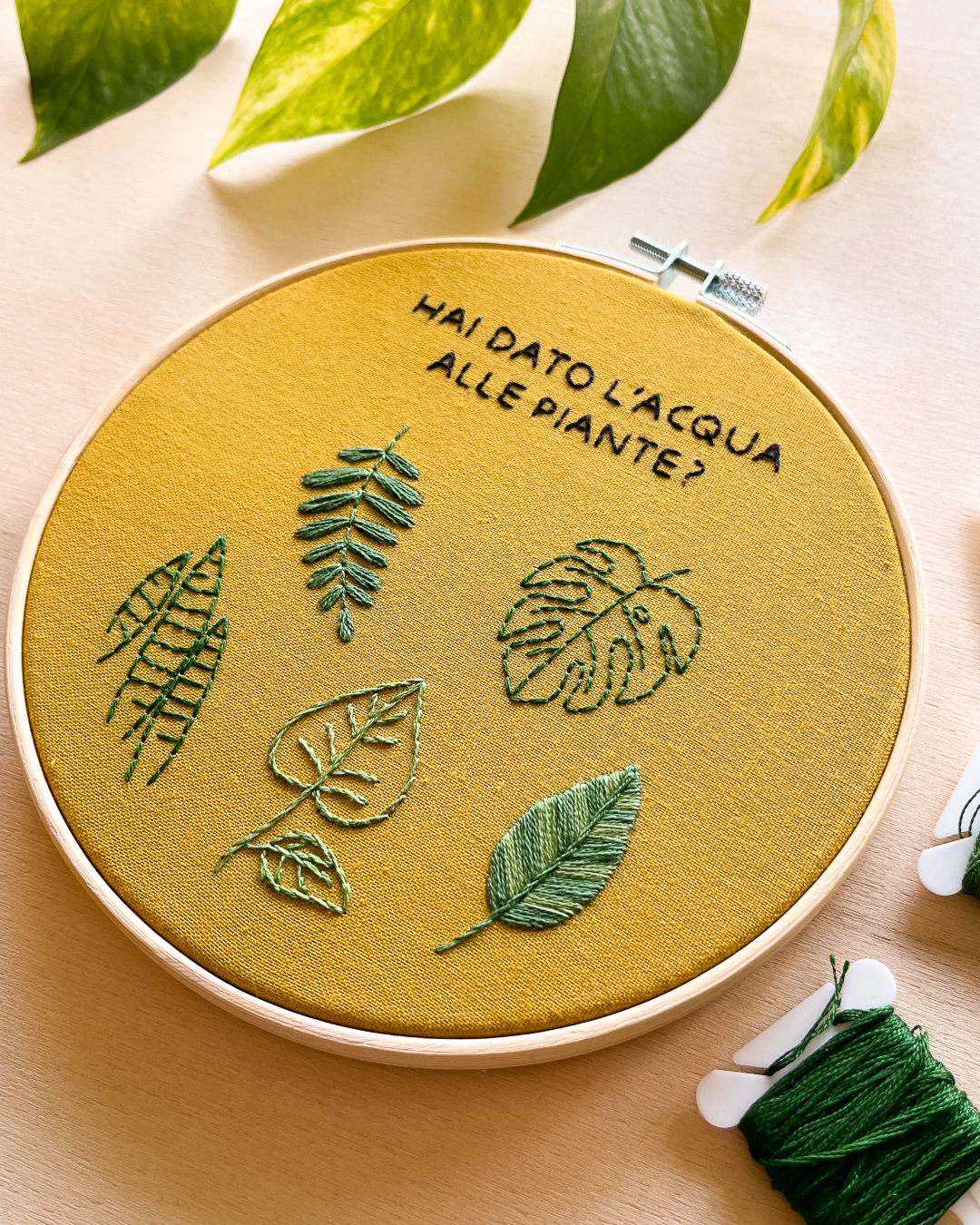 Hai dato l'acqua alle piante? - pattern di ricamo a mano con istruzioni e video tutorial