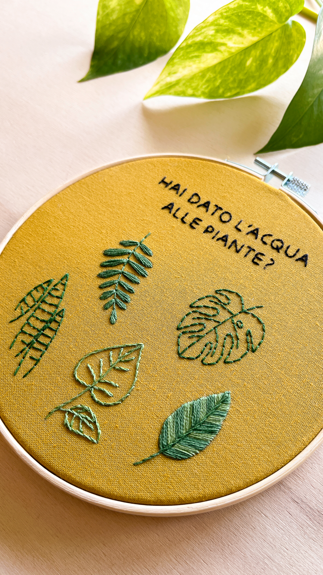 Hai dato l'acqua alle piante? - pattern di ricamo a mano con istruzioni e video tutorial