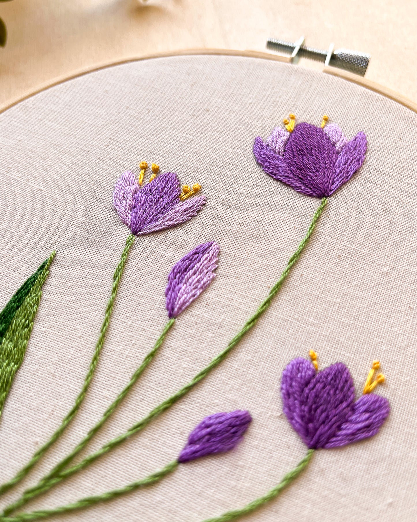 Crocus - pattern di ricamo a mano con istruzioni e video tutorial