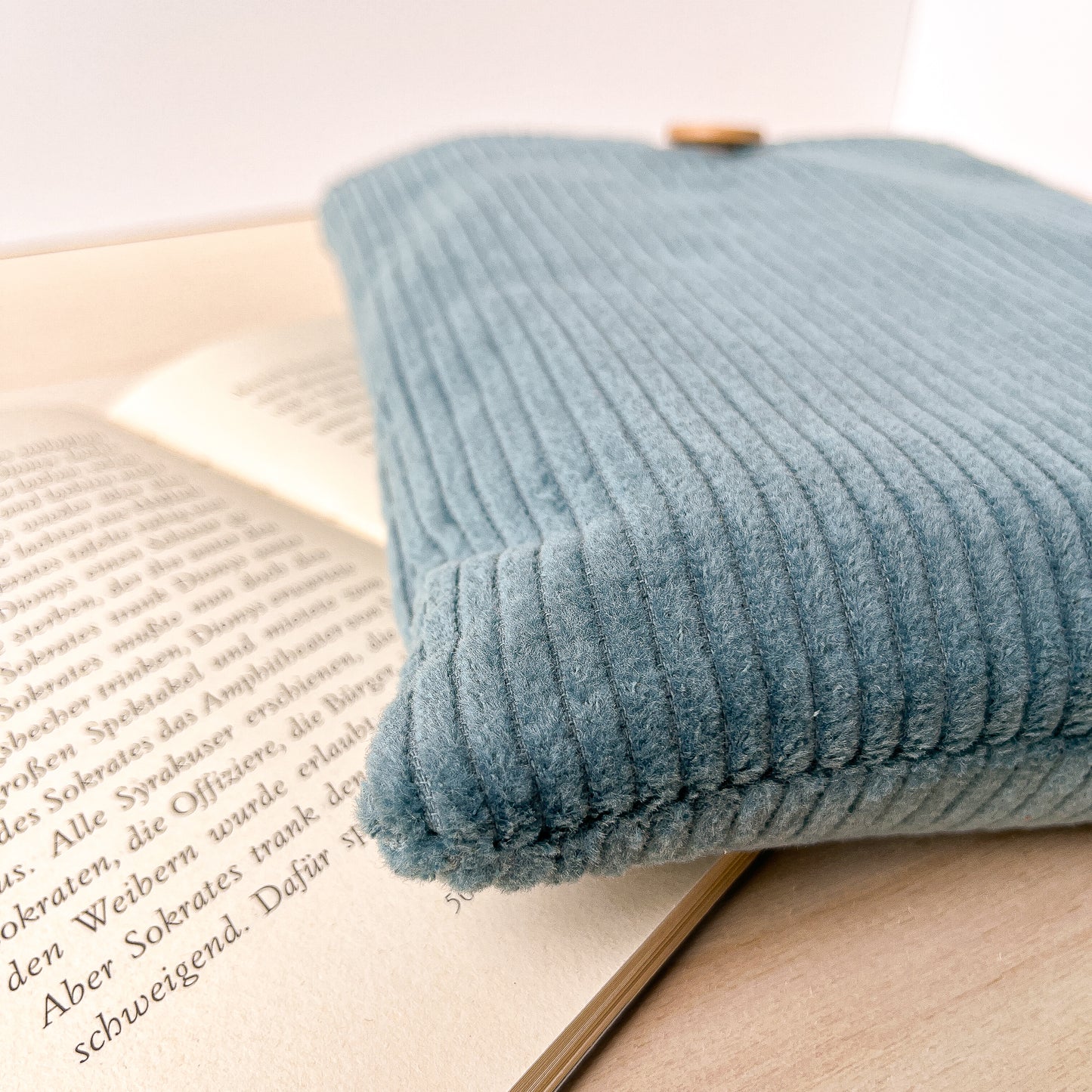 Custodia per libri imbottita in velluto azzurro