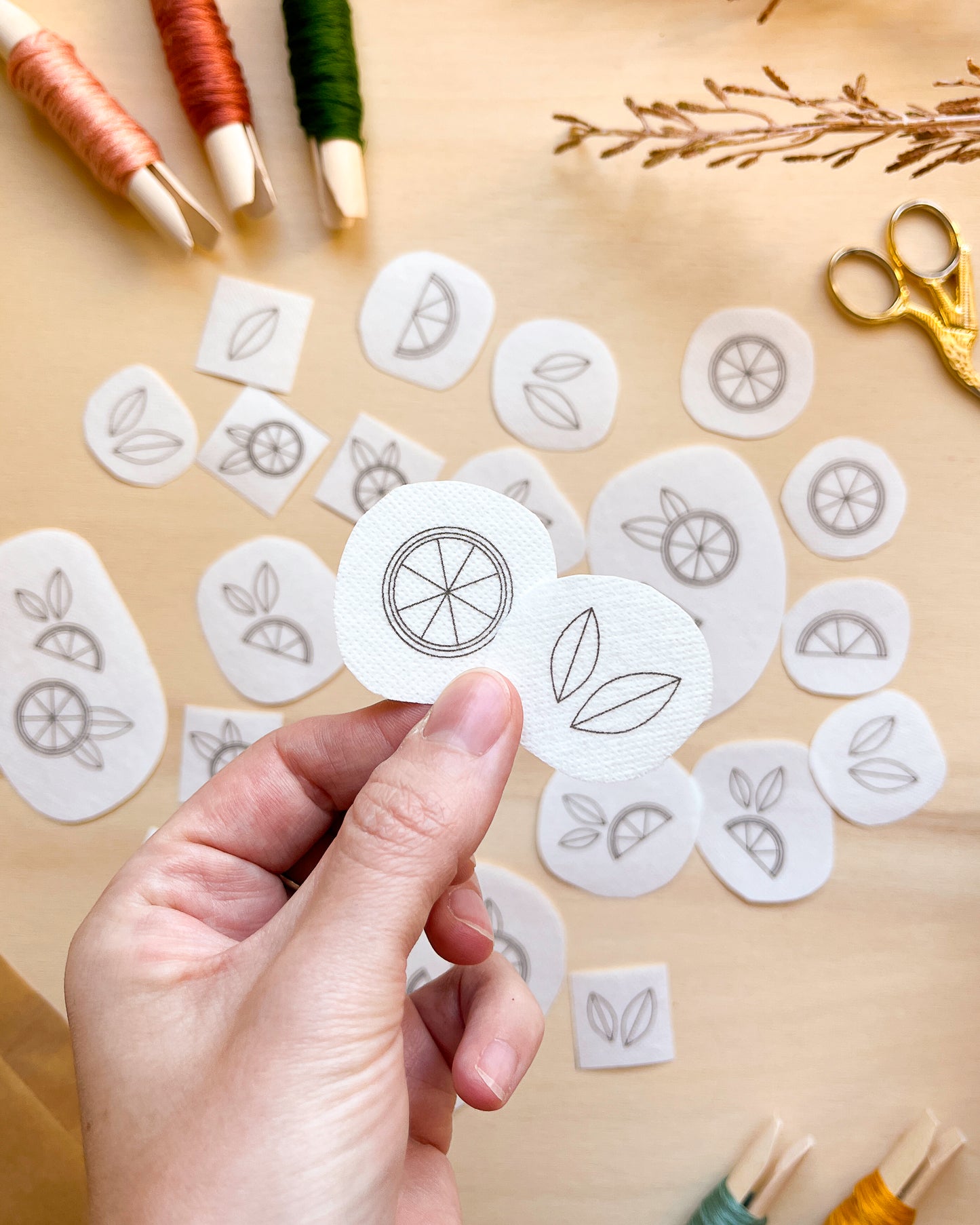 Pacchetto di stick and stitch - Limoni