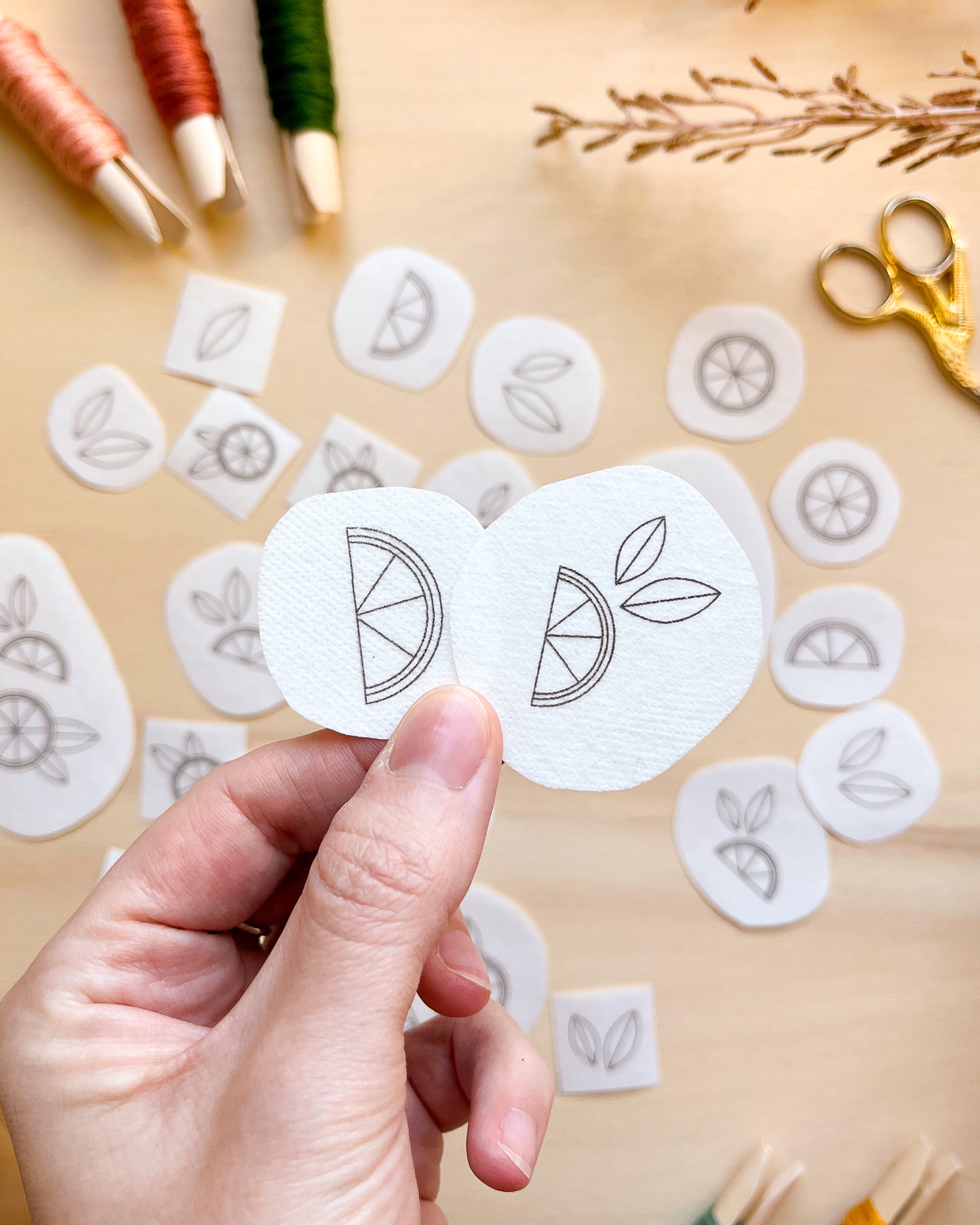 Pacchetto di stick and stitch - Limoni